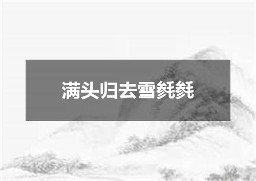 满头归去雪毵毵