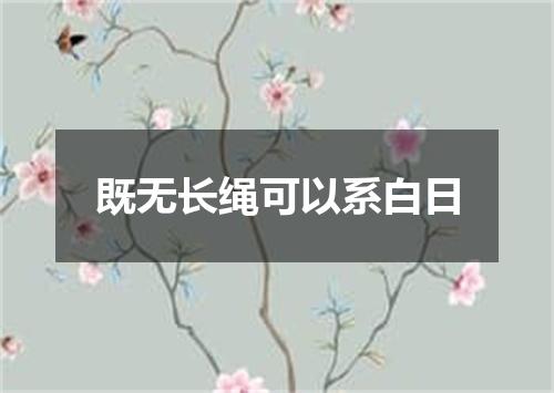 既无长绳可以系白日