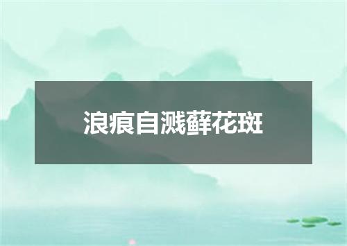 浪痕自溅藓花斑