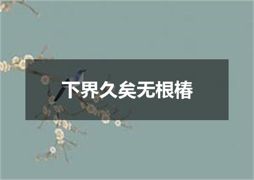 下界久矣无根椿