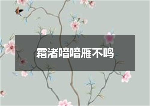 霜渚喑喑雁不鸣