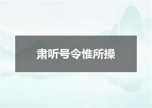 肃听号令惟所操