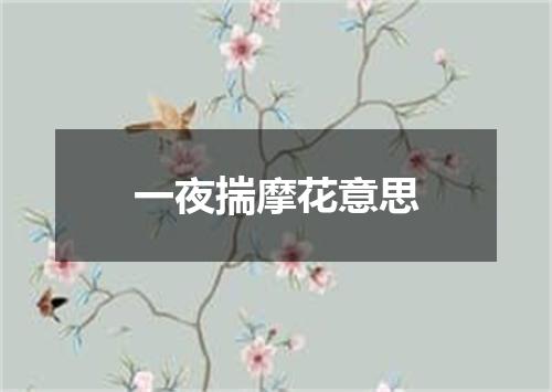 一夜揣摩花意思