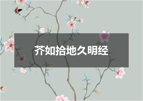 芥如拾地久明经