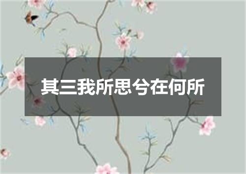 其三我所思兮在何所