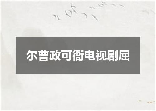 尔曹政可衙电视剧屈