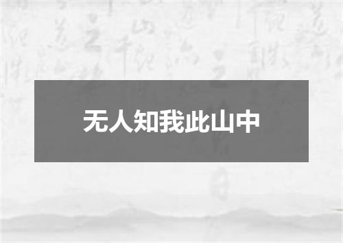 无人知我此山中