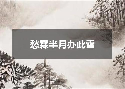 愁霖半月办此雪