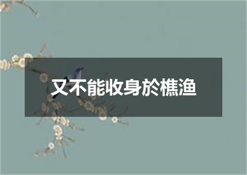 又不能收身於樵渔