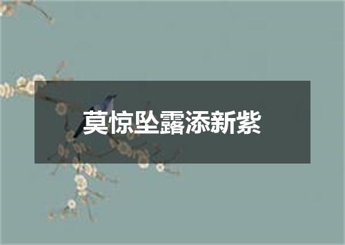 莫惊坠露添新紫