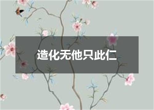 造化无他只此仁