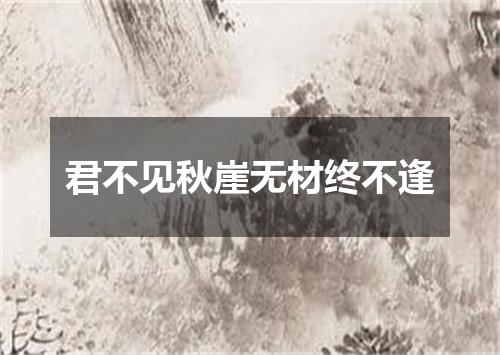 君不见秋崖无材终不逢