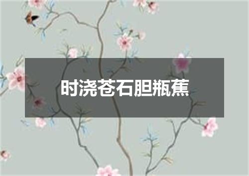 时浇苍石胆瓶蕉