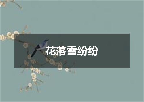 花落雪纷纷