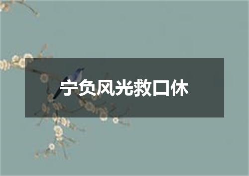 宁负风光救口休