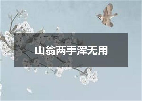 山翁两手浑无用