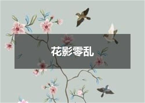 花影零乱