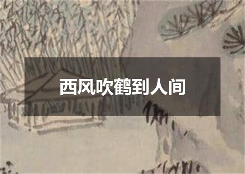 西风吹鹤到人间