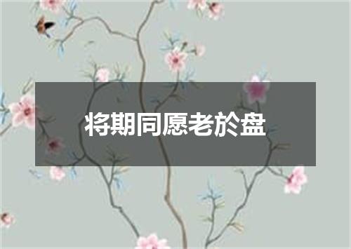 将期同愿老於盘