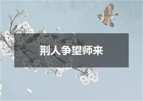 荆人争望师来