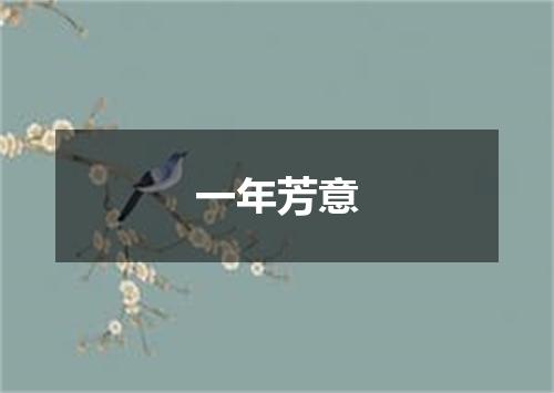 一年芳意