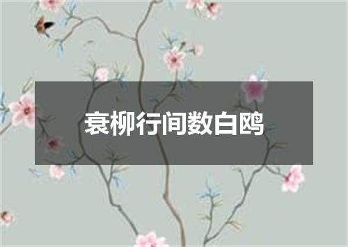 衰柳行间数白鸥