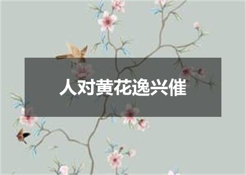 人对黄花逸兴催