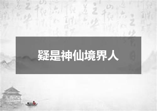 疑是神仙境界人