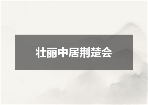 壮丽中居荆楚会