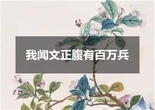 我闻文正腹有百万兵