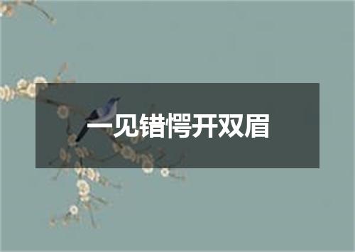 一见错愕开双眉