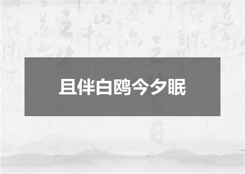 且伴白鸥今夕眠