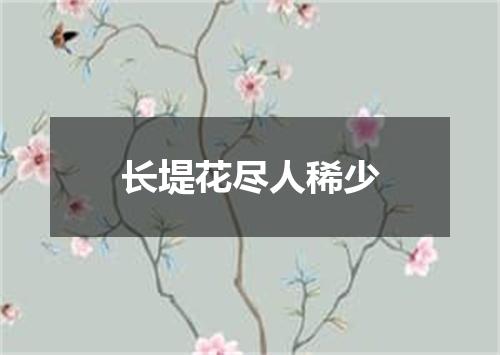 长堤花尽人稀少