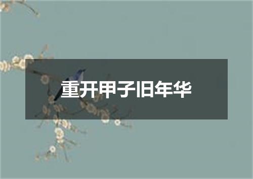 重开甲子旧年华