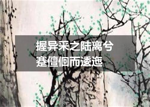 握异采之陆离兮蹇儃佪而逶迤