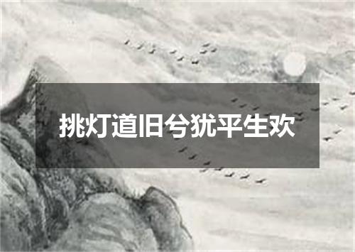 挑灯道旧兮犹平生欢