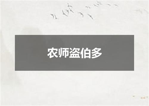 农师盗伯多