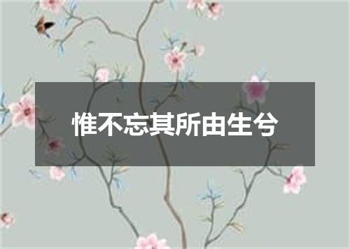 惟不忘其所由生兮