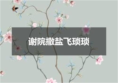 谢院撒盐飞琐琐