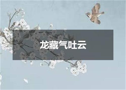 龙藏气吐云