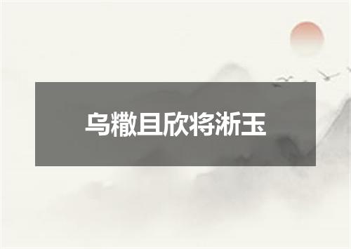 乌糤且欣将淅玉