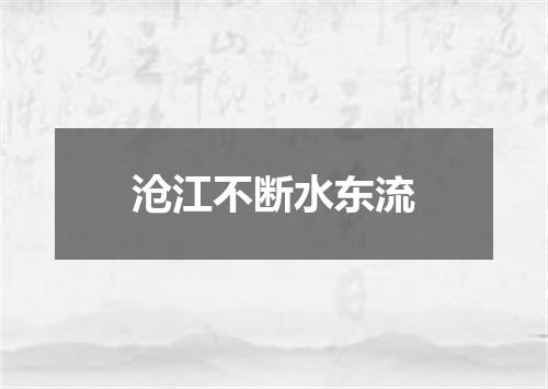 沧江不断水东流