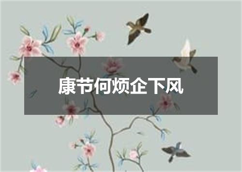 康节何烦企下风