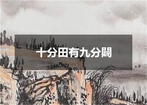 十分田有九分闢