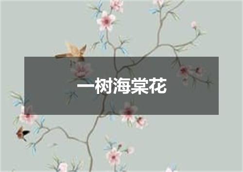 一树海棠花