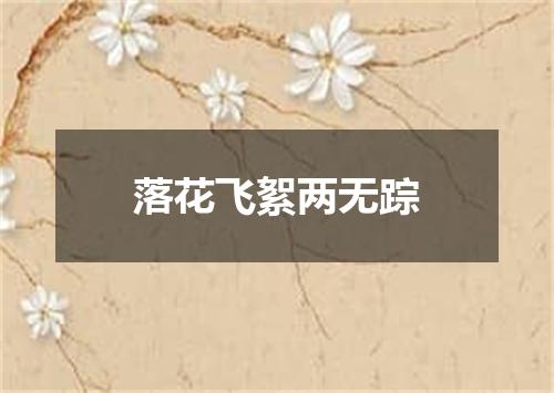 落花飞絮两无踪