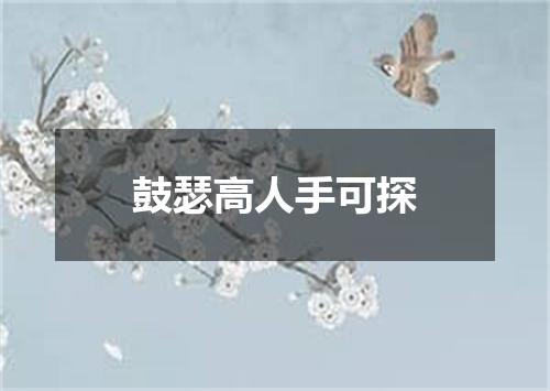 鼓瑟高人手可探