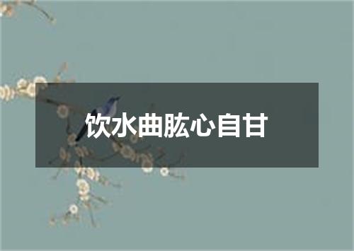 饮水曲肱心自甘