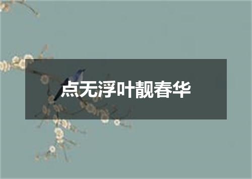 点无浮叶靓春华