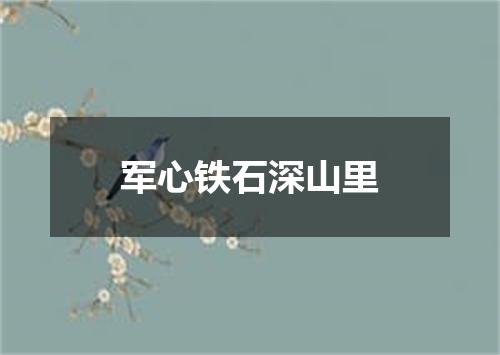 军心铁石深山里